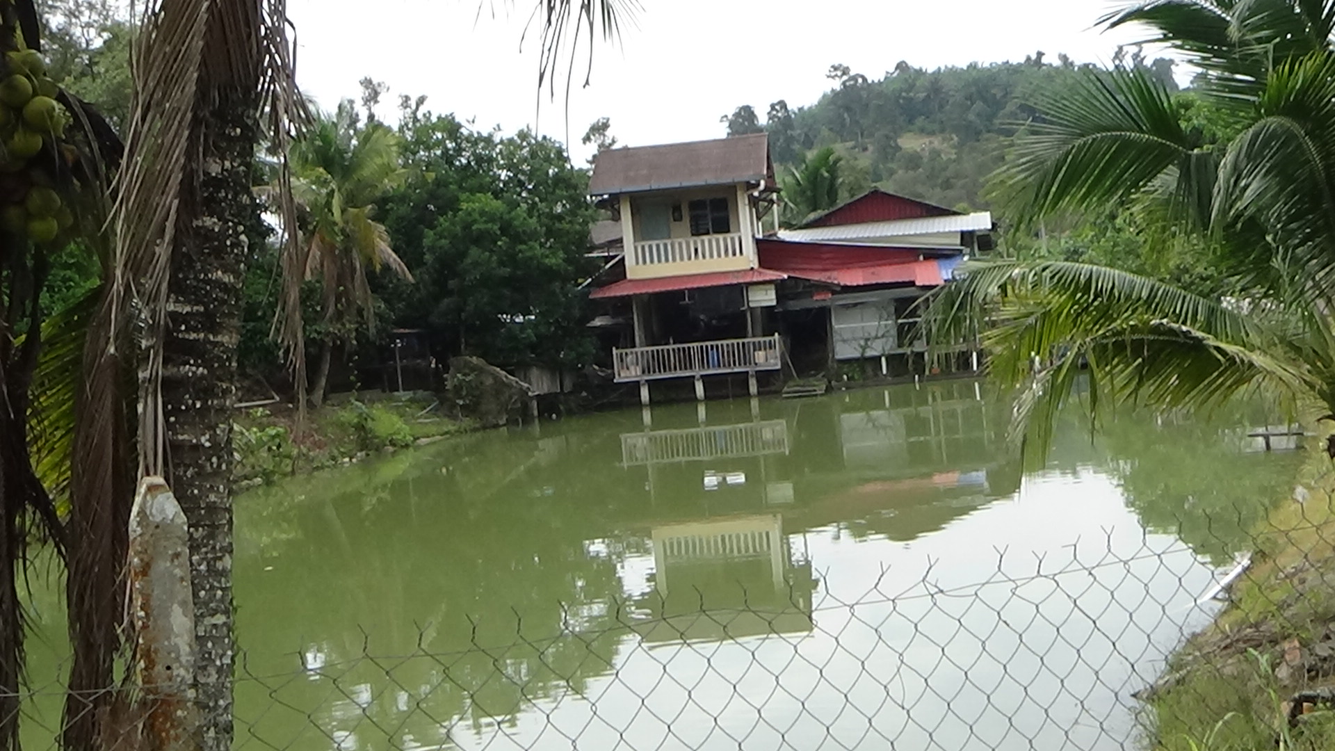 Pertang Agricultural Land image