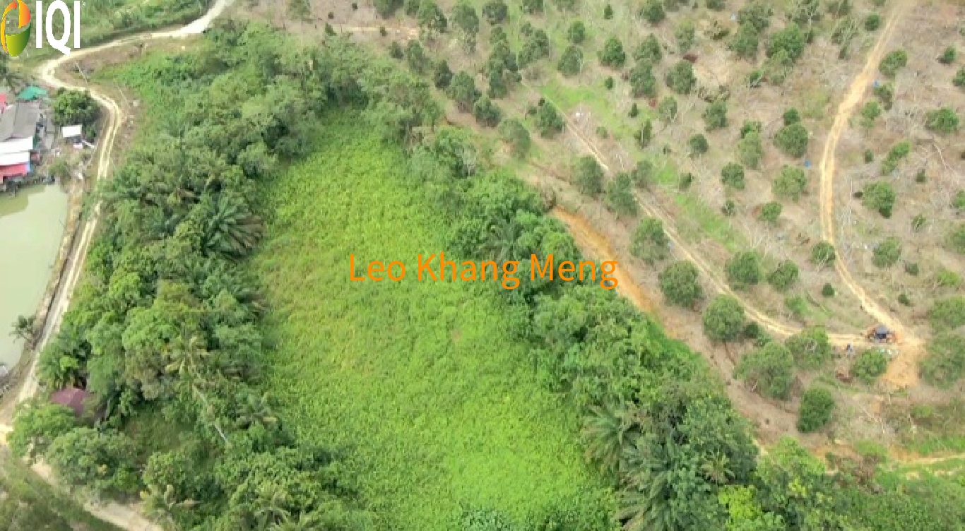 Pertang Agricultural Land image