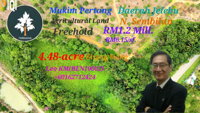 Pertang Agricultural Land photo
