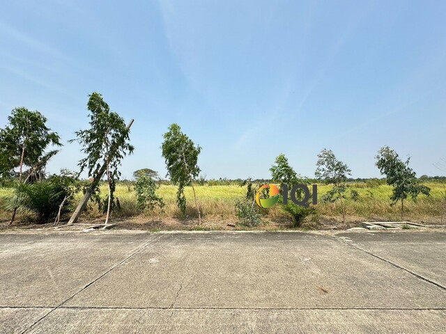 Land for sale, Soi Suwinthawong 47, Green Plan, Island Park Project, Soi Thammarat image