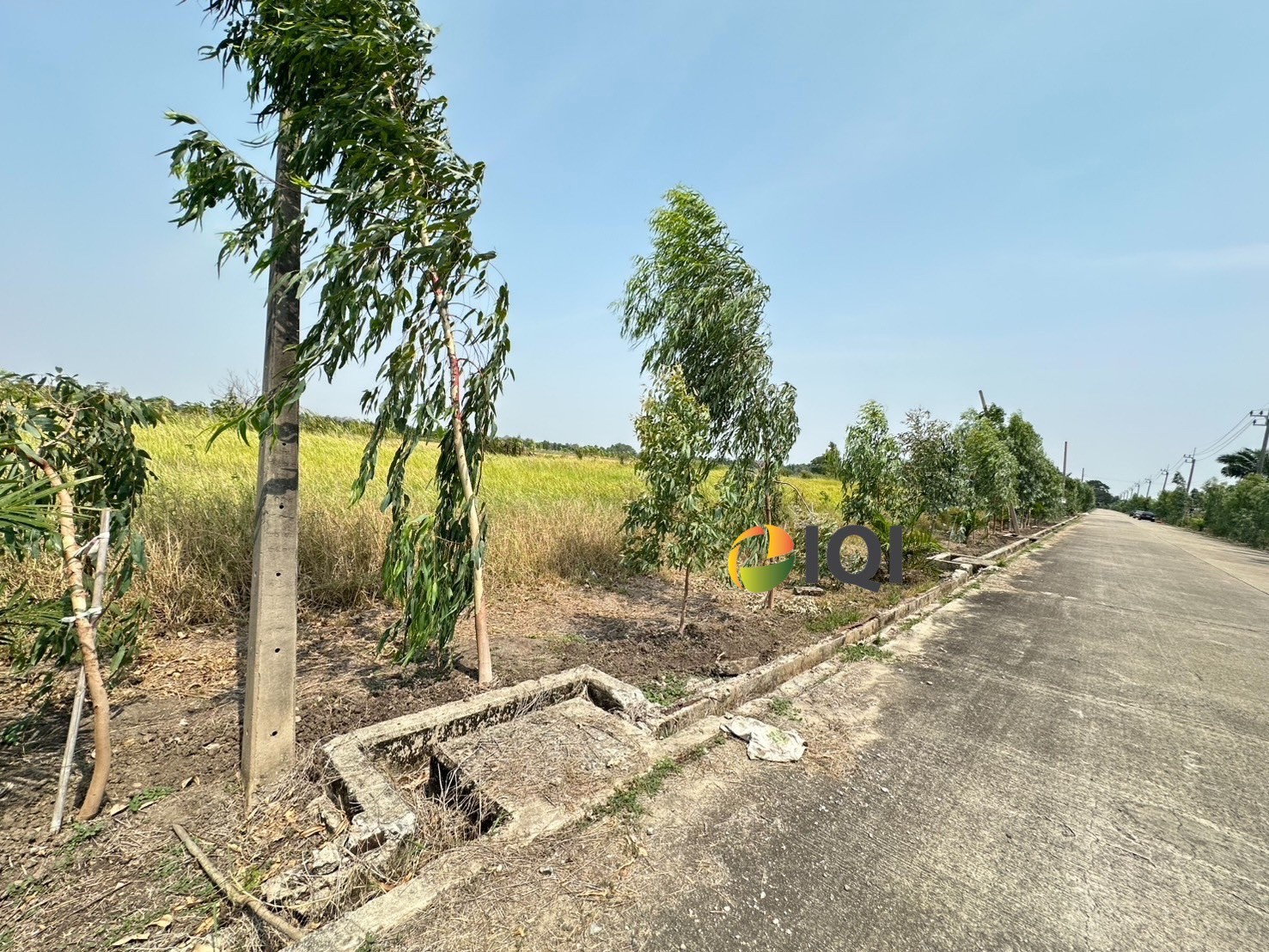 Land for sale, Soi Suwinthawong 47, Green Plan, Island Park Project, Soi Thammarat image