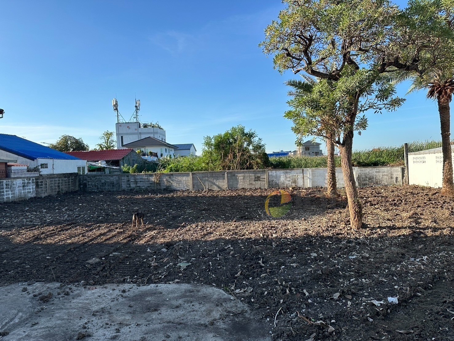 For sale 2 plots of vacant land with title deeds in the Pla Thong Village, Srinakarin, next to the MRT Yellow Line (Sri Dan Station) image