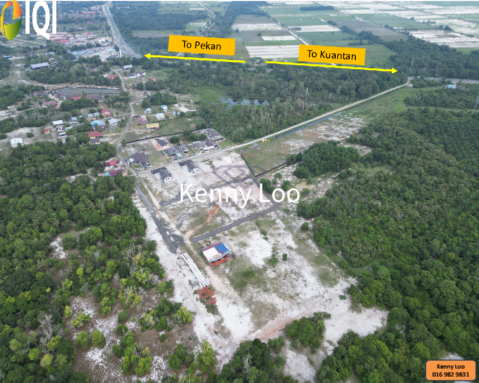 Tanah Puteh Pekan image