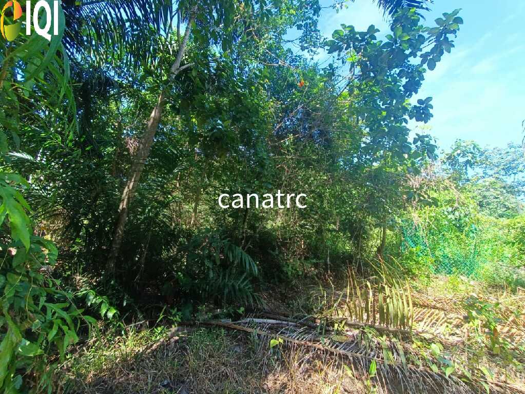 Agriculture Land @ Pekan Rawang  image