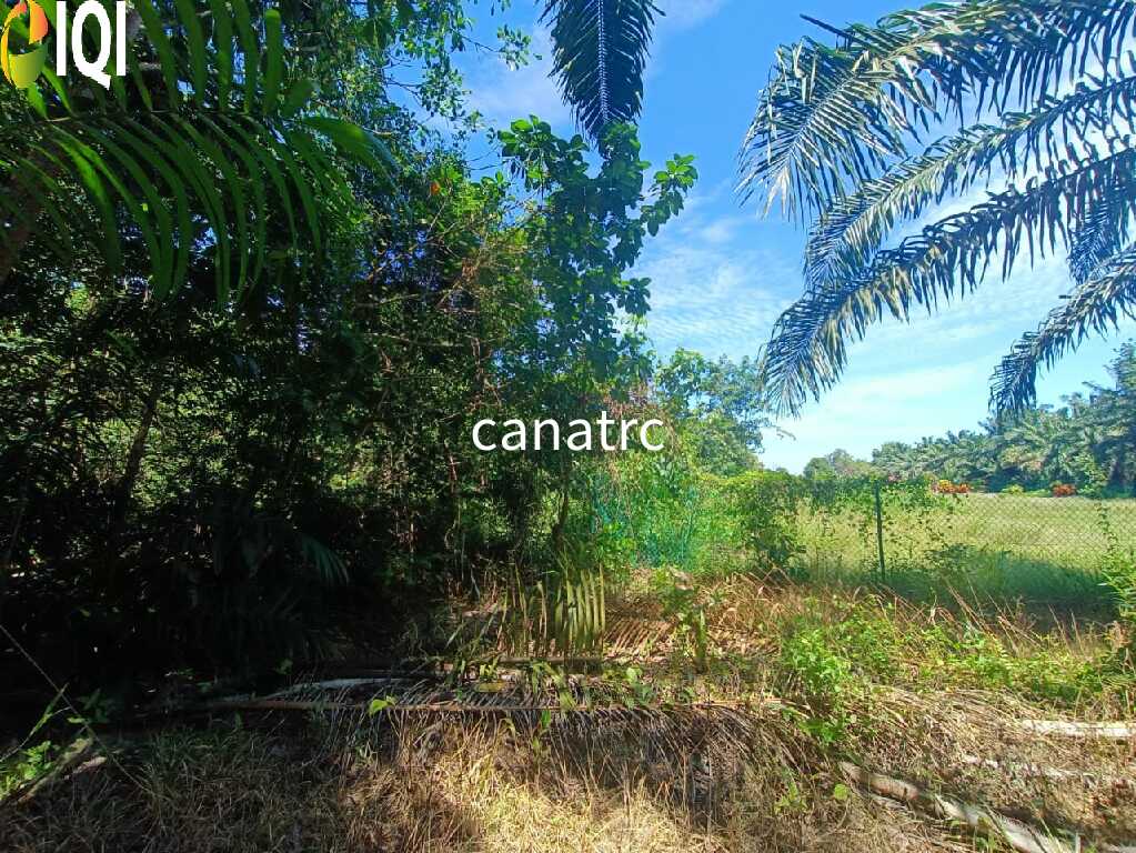 Agriculture Land @ Pekan Rawang  image