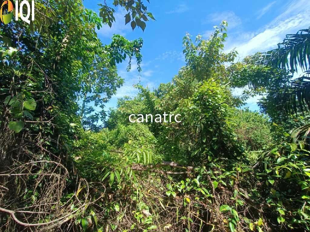 Agriculture Land @ Pekan Rawang  image