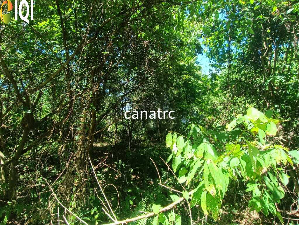 Agriculture Land @ Pekan Rawang  image