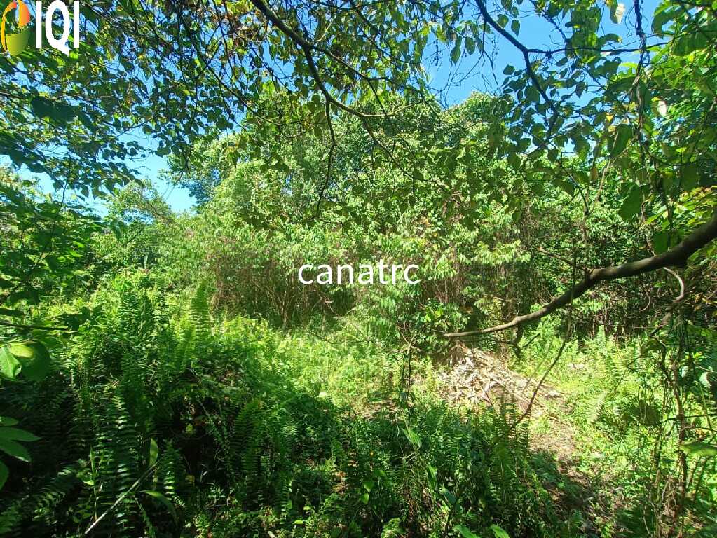 Agriculture Land @ Pekan Rawang  image