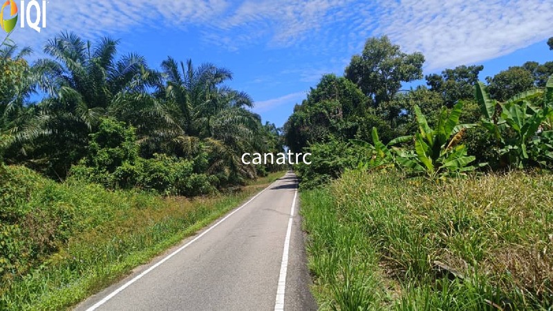 Pekan Rawang Agriculture Land First Layer with Access Road