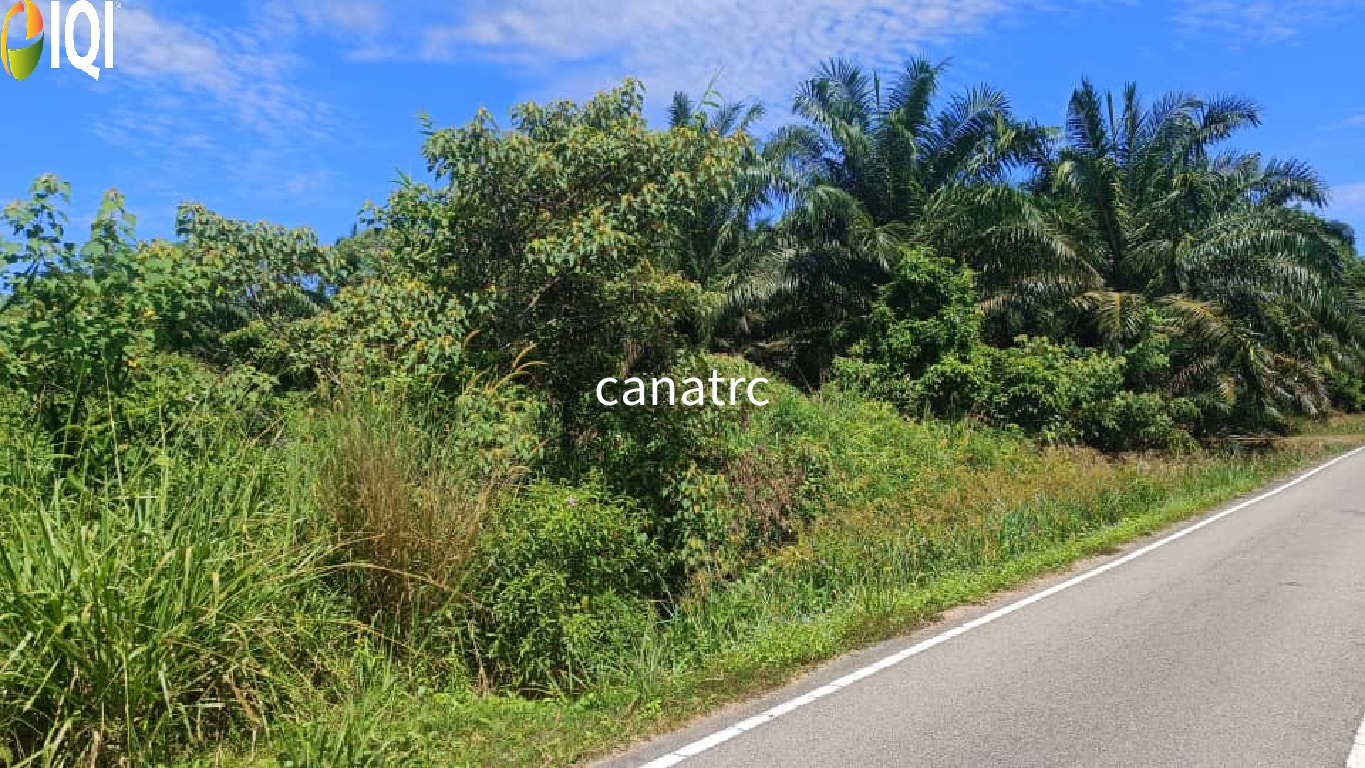 Pekan Rawang Agriculture Land First Layer with Access Road image