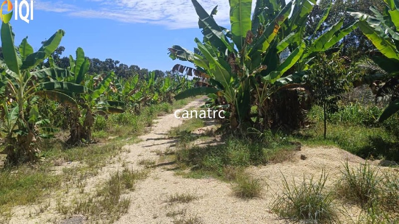 Pekan Rawang Agriculture Land First Layer with Access Road
