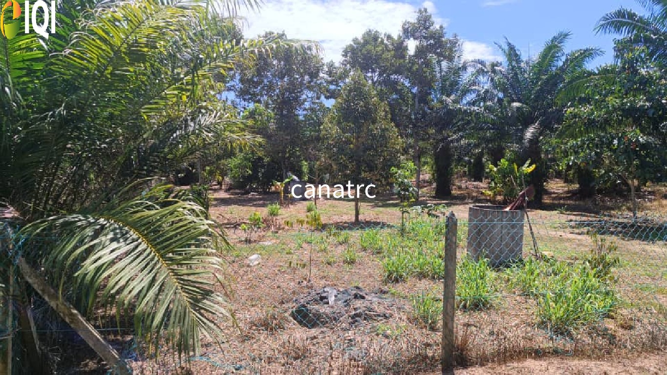 Pekan Rawang Agriculture Land First Layer with Access Road image