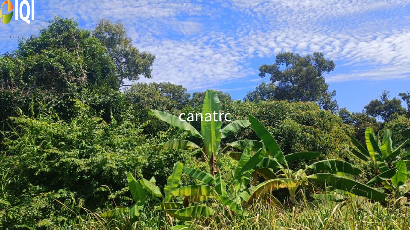 Pekan Rawang Agriculture Land First Layer with Access Road image