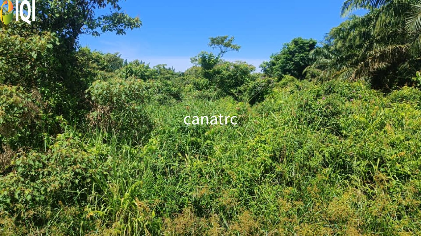 Pekan Rawang Agriculture Land First Layer with Access Road image