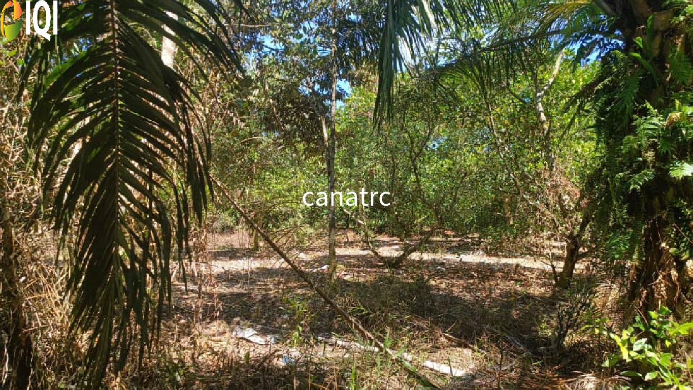 Pekan Rawang Agriculture Land First Layer with Access Road image