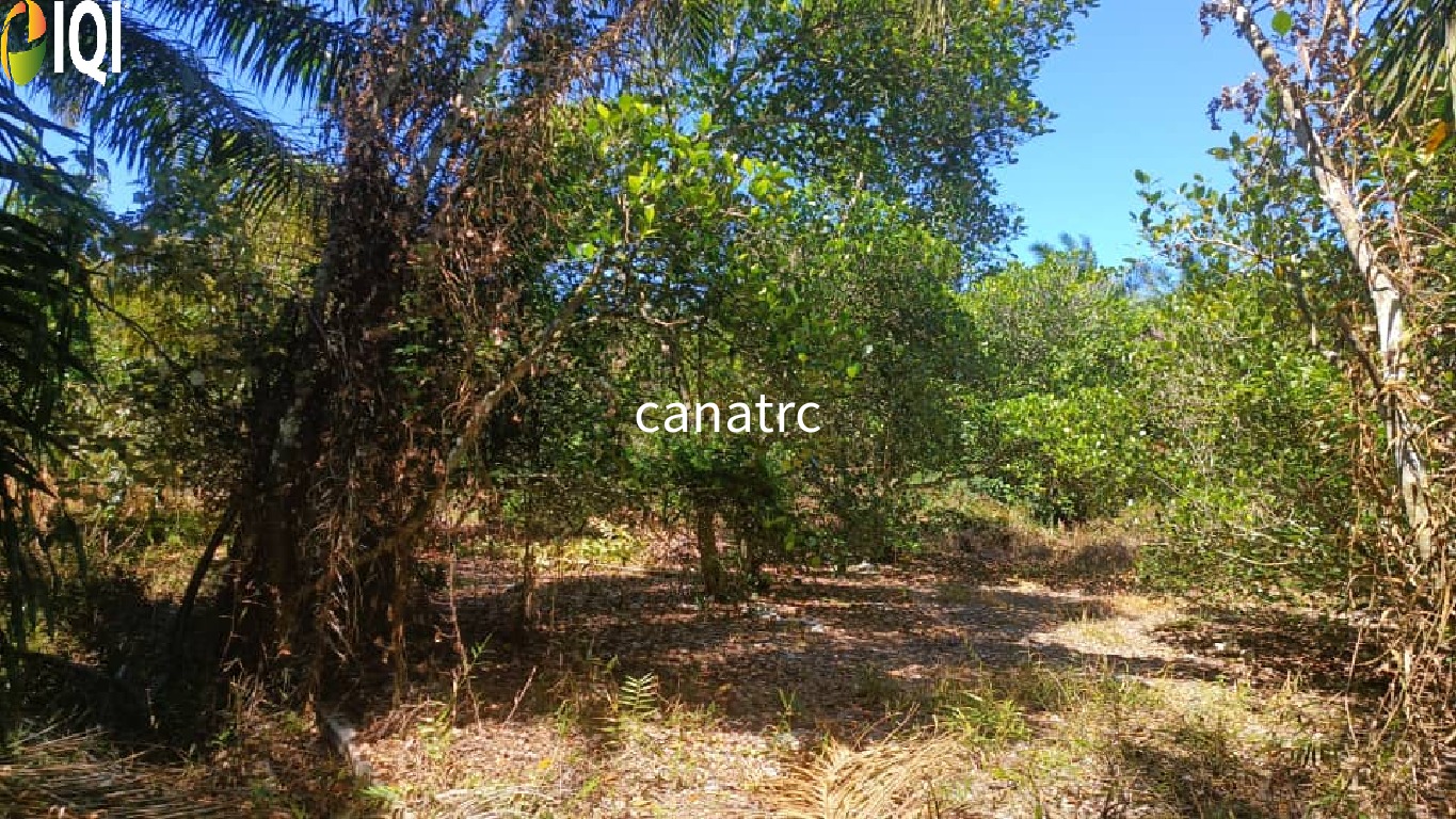 Pekan Rawang Agriculture Land First Layer with Access Road image