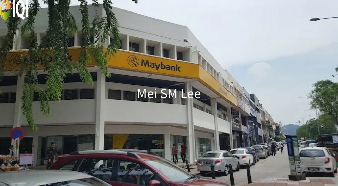 Taman Tun Dr Ismail image