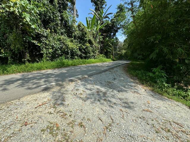 Janda Baik image