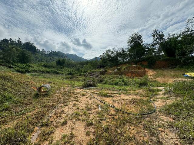 Janda Baik image
