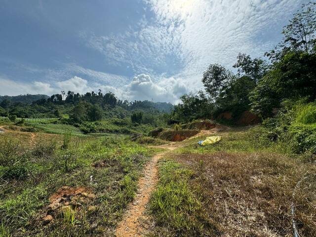 Janda Baik image