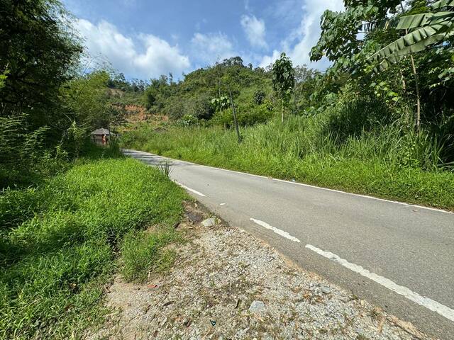Janda Baik image