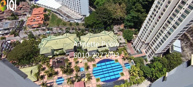 Miami Green image