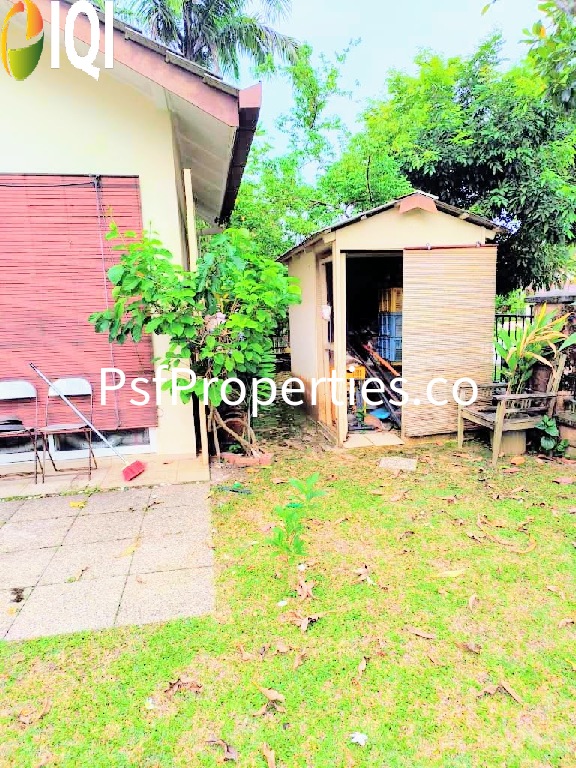 Bukit Jelutong image