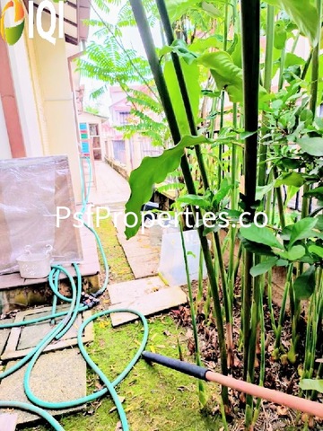 Bukit Jelutong image