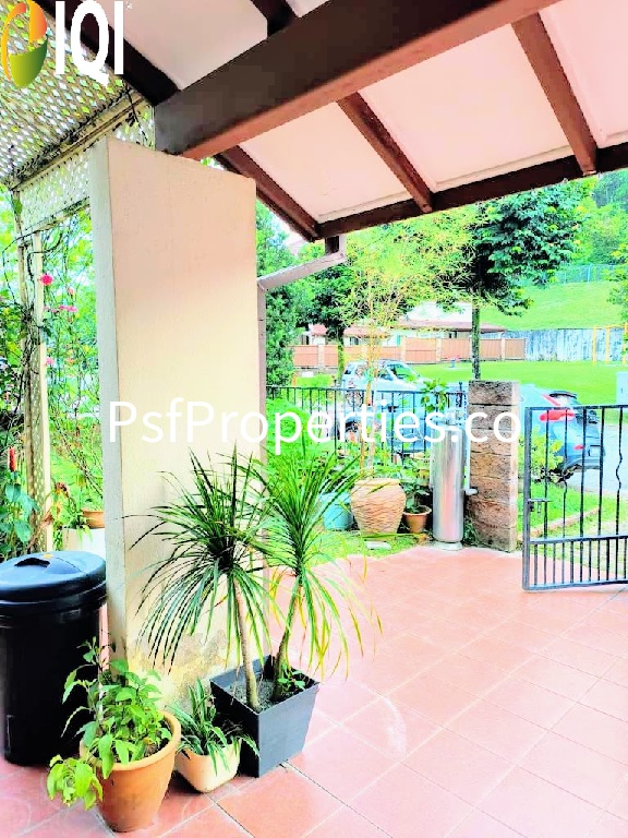 Bukit Jelutong image