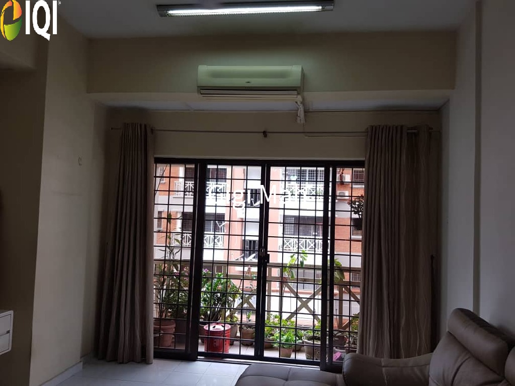 Evergreen Park Acorn and Hazel image