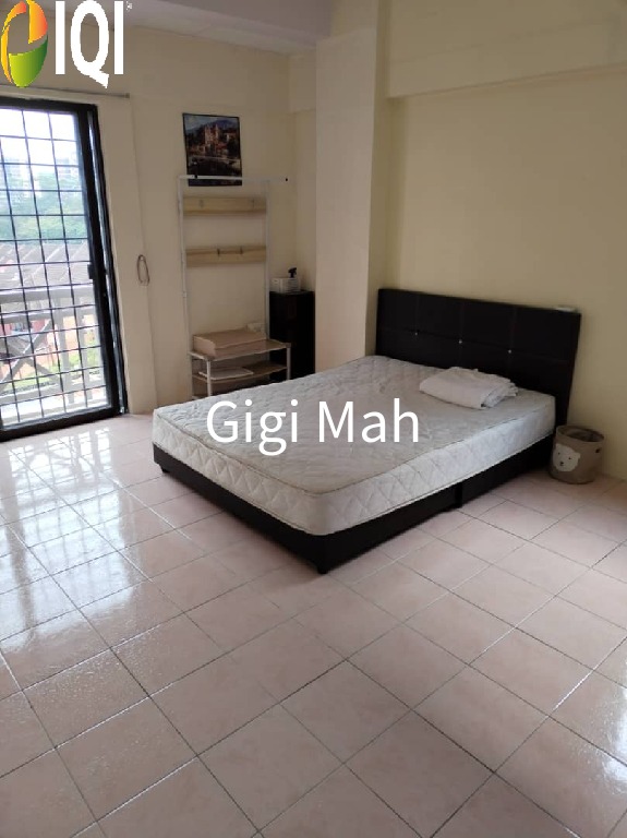 Evergreen Park Acorn and Hazel image