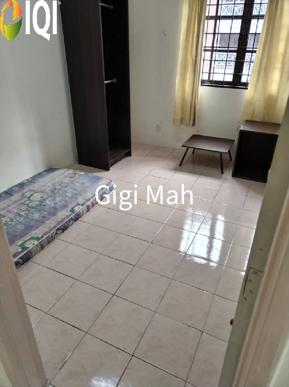 Evergreen Park Acorn and Hazel image