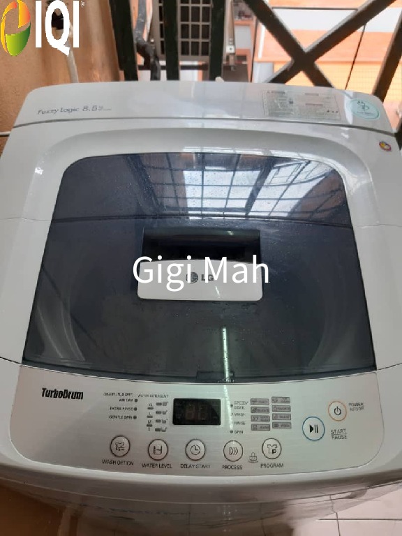 Evergreen Park Acorn and Hazel image