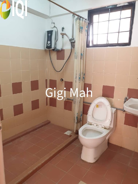 Evergreen Park Acorn and Hazel image