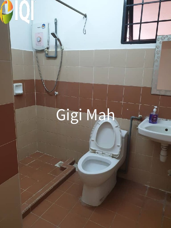 Evergreen Park Acorn and Hazel image