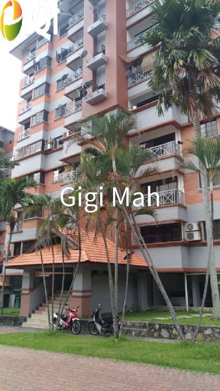 Evergreen Park Acorn and Hazel image