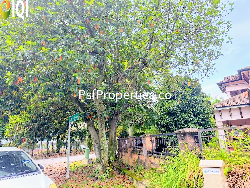 Bukit Jelutong image