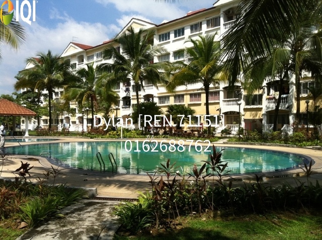 Sri Cassia image