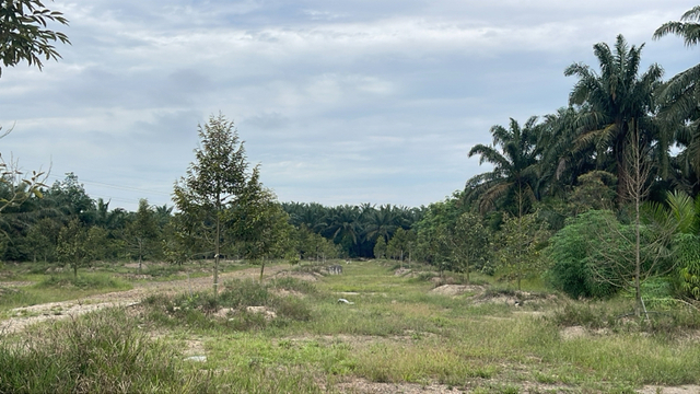 Ayer Hitam image