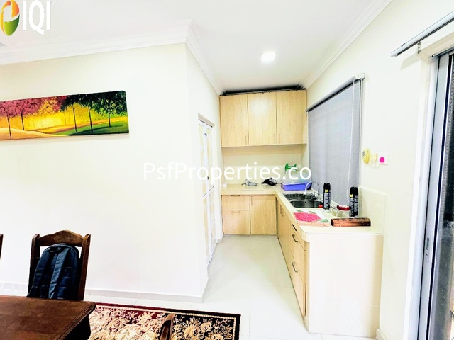 Alstonia image