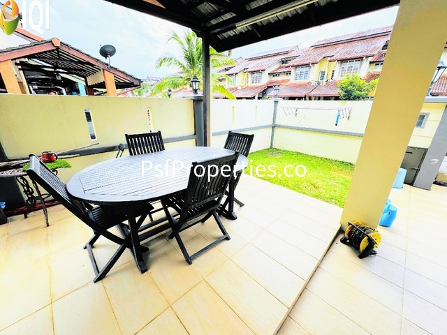 Alstonia image