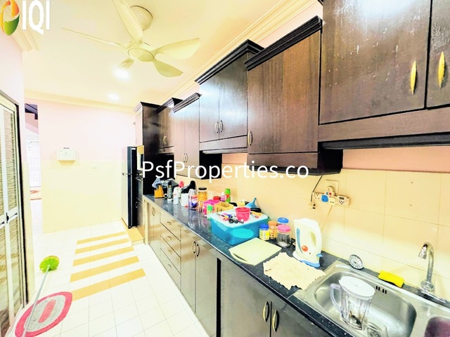 Alstonia image