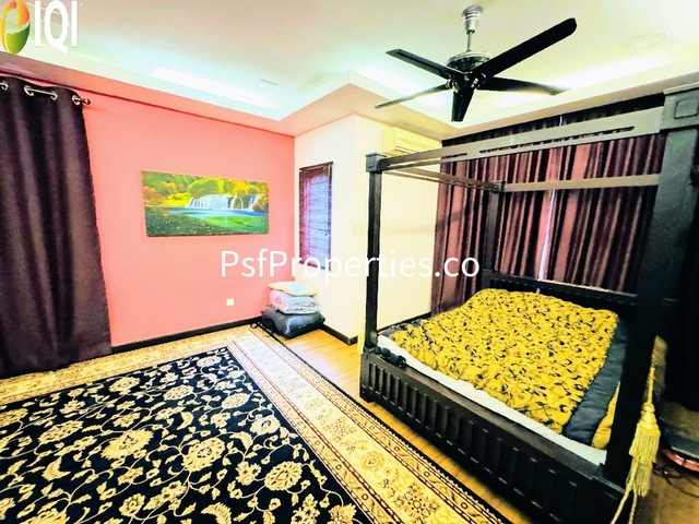 Alstonia image