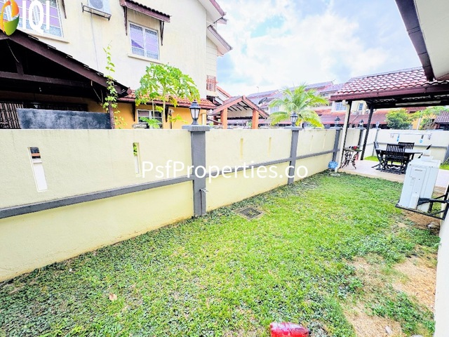 Alstonia image