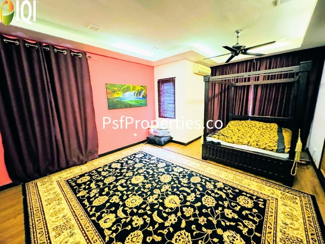 Alstonia image