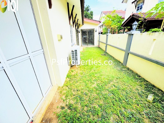 Alstonia image