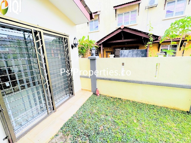Alstonia image