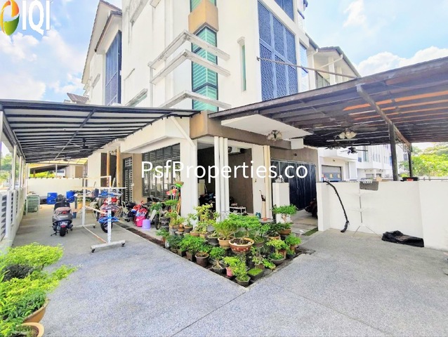 Maple Terrace image