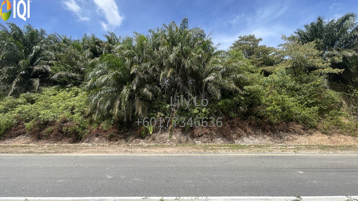 Jasin Industrial Park image