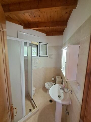 1716379 image